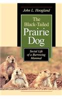 The Black-Tailed Prairie Dog