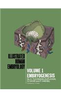 Embryogenesis