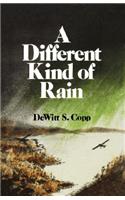 Different Kind of Rain