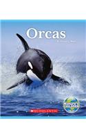 Orcas (Nature's Children)