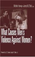 What Causes Men's Violence Against Women?