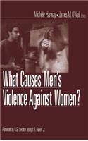 What Causes Men&#8242;s Violence Against Women?