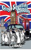 Grey Squirrels London