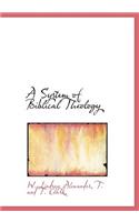 A System of Biblical Theology