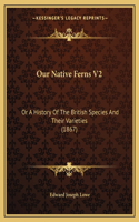 Our Native Ferns V2: Or A History Of The British Species And Their Varieties (1867)(English)