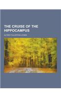 The Cruise of the Hippocampus