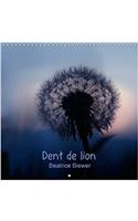 Dent de Lion 2017: La Fleur Etonnante du Pissenlit (Calvendo Nature)