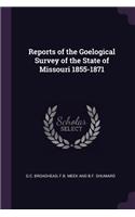 Reports of the Goelogical Survey of the State of Missouri 1855-1871