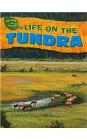 Life on the Tundra