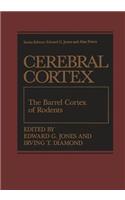 The Barrel Cortex of Rodents