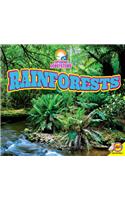 Rainforests