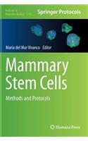 Mammary Stem Cells