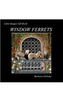 Window Ferrets