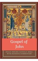 Douay-Rheims Catholic Bible with Haydock Commentary: Gospel of John