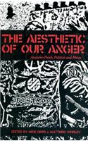 The Aesthetic of Our Anger