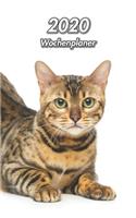 2020 Wochenplaner: Bengal - 107 Seiten, 15cm x 23cm ca. A5 - Taschenkalender - Terminplaner - Tagebuch - Terminkalender - Organizer für Katzenliebhaber