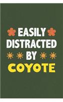 Easily Distracted By Coyote
