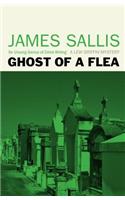Ghost of a Flea