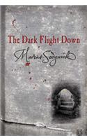 The Dark Flight Down
