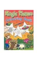 Wizard Magic Picture and Colouring Book
