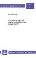 Konzernbildungs- und Konzernleitungskontrolle bei der GmbH