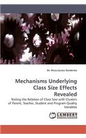 Mechanisms Underlying Class Size Effects Revealed