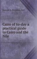 Cairo of to-day a practical guide to Cairo and the Nile