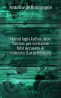Mundi lapis lydius, siue, Vanitas per veritatem falsi accusata & conuicta (Latin Edition)