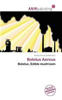 Boletus Aereus