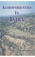 Agro Foresty in India