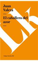 El caballero del azor