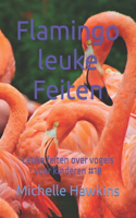 Flamingo leuke Feiten: Leuke feiten over vogels voor kinderen #18(Leuke Feiten Over Vogels Voor Kinderen)