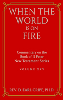 When the World is on Fire - Biblical Commentary on the Book of II Peter