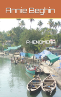 Phenomena