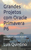 Grandes Projetos com Oracle Primavera P6: Utilização em projetos de grande dimensão