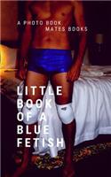 Little Book of blue Fetish
