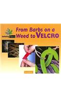 From Barbs on a Weed to Velcro
