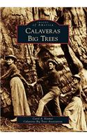 Calaveras Big Trees