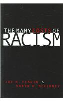 The Many Costs of Racism