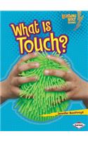 What Is Touch?