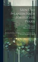 Säen Und Pflanzen Nach Forstlicher Praxis