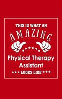 This is What an Amazing Physical Therapy Assistant Look Like: Appreciation Gift Journal for Employee, Coworker or Boss