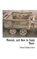 Minerals, and How to Study Them.