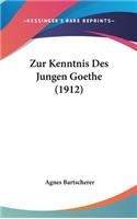 Zur Kenntnis Des Jungen Goethe (1912)