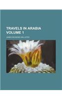 Travels in Arabia Volume 1