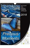 Precious Moments - Put in Your Own Precious Moments 2018: Precious Moments - Collect Your Own Special Moments of the Year. Enjoy 12 Wonderful Colour Combinations Which Will Lead You Through the Whole Year.(Calvendo Fun)
