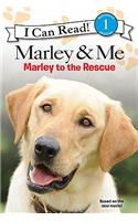 Marley to the Rescue!