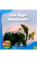 Ice Age Animals