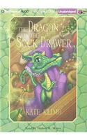 Dragon in the Sock Drawer