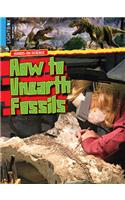 How to Unearth Fossils